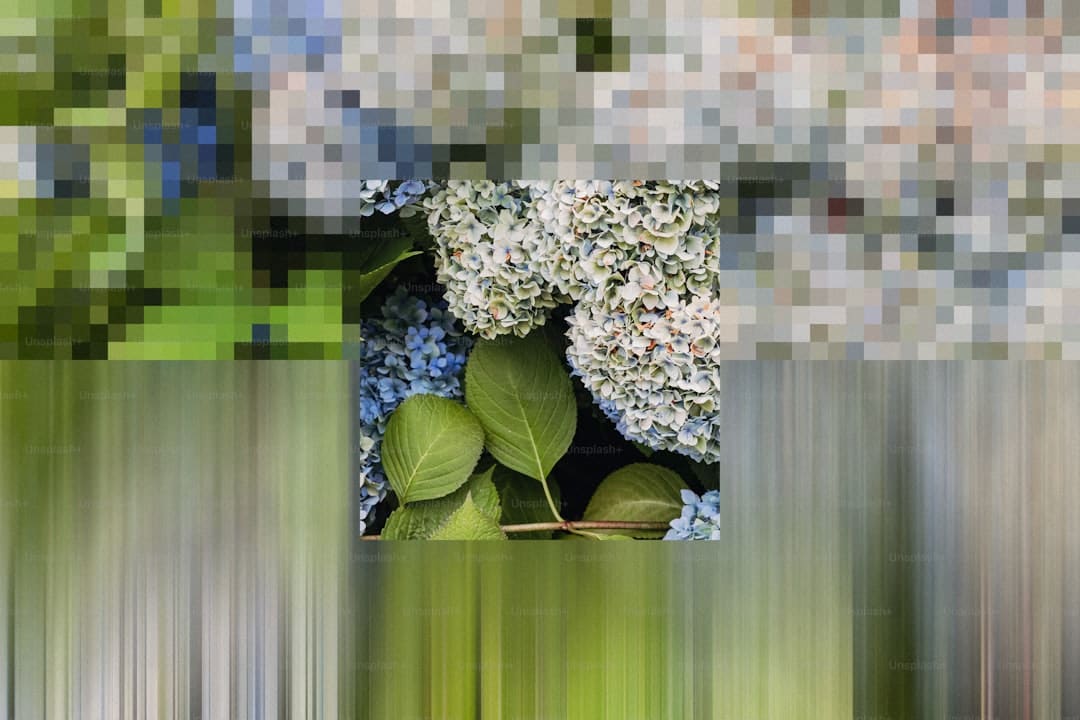 《我是歌手》迎来荣耀终章 那英摘得歌王桂冠
